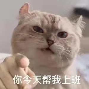 你今天帮我上班（你今天帮我上班）