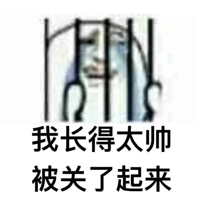 我长得太帅被关了起来（我长得太帅被关了起来）