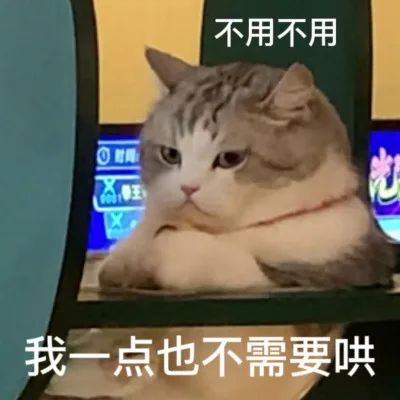 不用不用时我一点也不需要哄(猫猫表情包)（不用不用时我一点也不需要哄(猫猫表情包)）