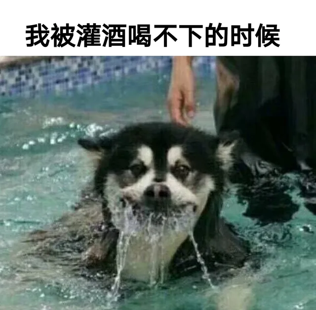 我被灌酒喝不下的时候（我被灌酒喝不下的时候）