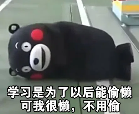 学习是为了以后能偷懒 可我很懒，不用偷（学习是为了以后能偷懒 可我很懒，不用偷）