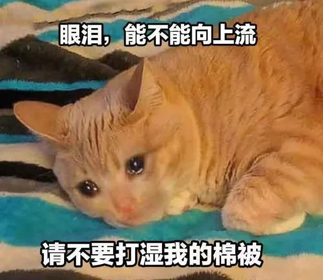 眼泪，能不能向上流请不要打湿我的棉被（眼泪，能不能向上流请不要打湿我的棉被）