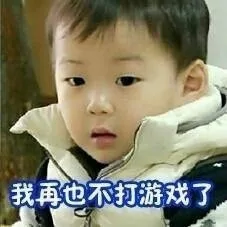 我再也不打游戏了