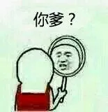 你爹？（照镜子）（你爹？（照镜子））