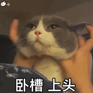 吧卧槽上头（吧卧槽上头）
