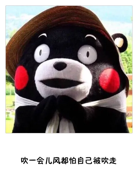 吃一会儿风都怕自己被吹走