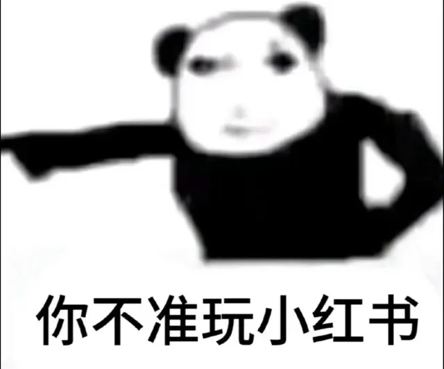 你不准玩小红书（你不准玩小红书）