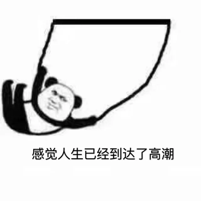 感觉人生已经到达了高潮（感觉人生已经到达了高潮）