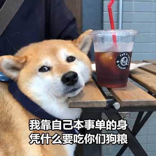 我靠自己本身单的身，凭什么要吃你们狗粮（我靠自己本身单的身，凭什么要吃你们狗粮）