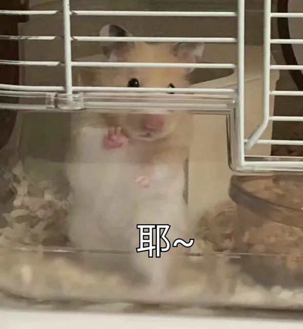 耶~