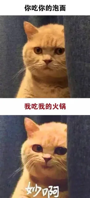 你吃你的泡面，我吃我的火锅，妙啊