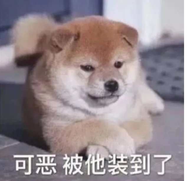 可恶被他装到了（可恶被他装到了）