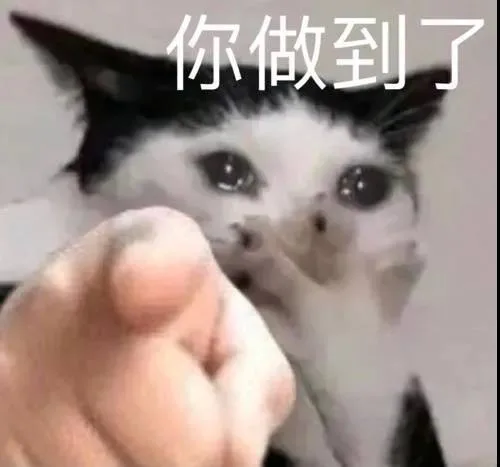 你做到了（你做到了）