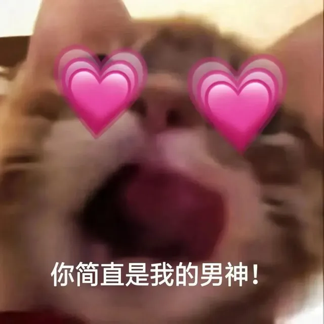 你简直是我的男神！（你简直是我的男神！）