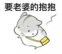 要老婆的抱抱