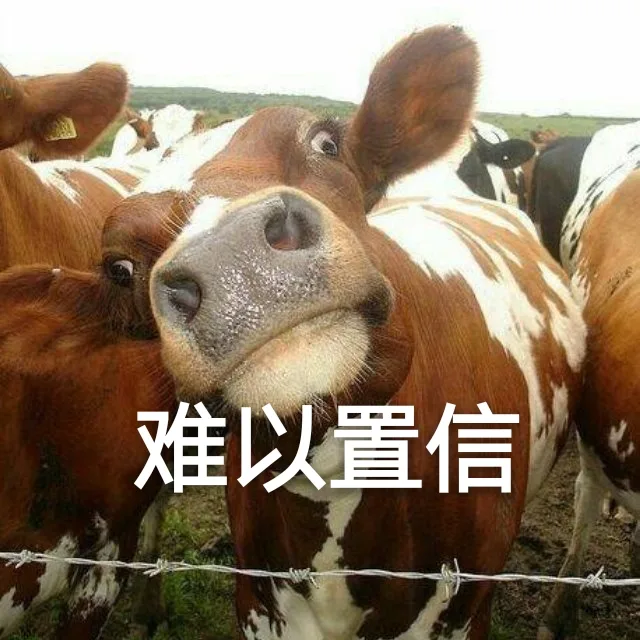 难以置信（难以置信）