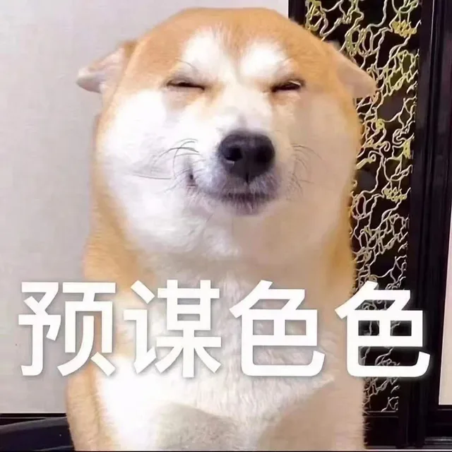 预谋色色
