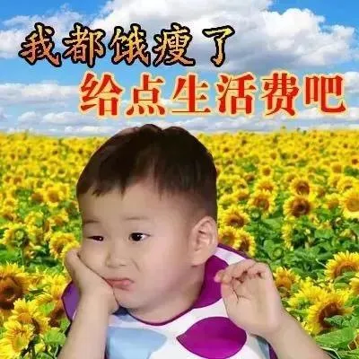 我都饿瘦了 给点生活费吧