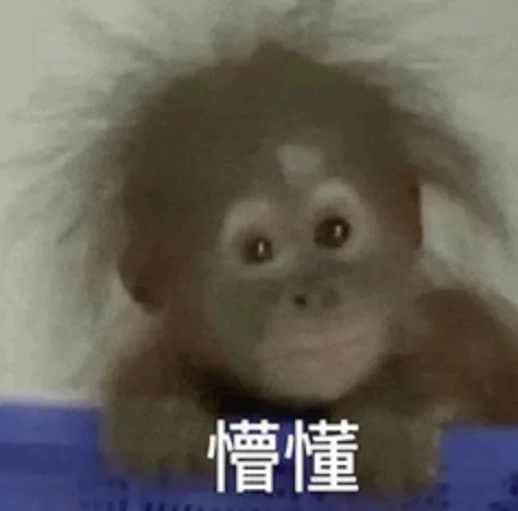 懵懂（懵懂）