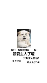 我们一起学松狮叫,一起:最爱主人了呢只听主人的话!主人好棒给主人打Cal