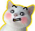 猫咪抽烟