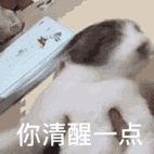 你清醒一点