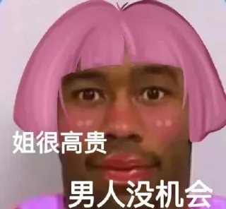 姐很高贵男人没机会