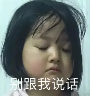 别跟我说话