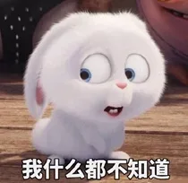 我什么都不知道