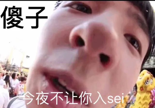 傻子 今夜不让你入sei