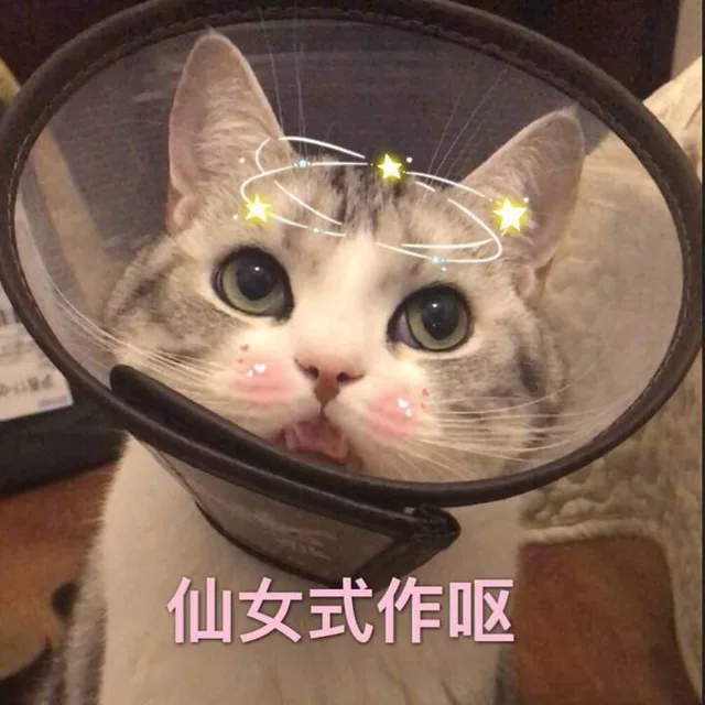 仙女式作呕