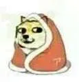 doge裹被子