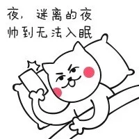 夜，迷离的夜帅到无法入眠