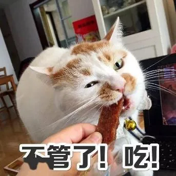 喵星人（喵星人）