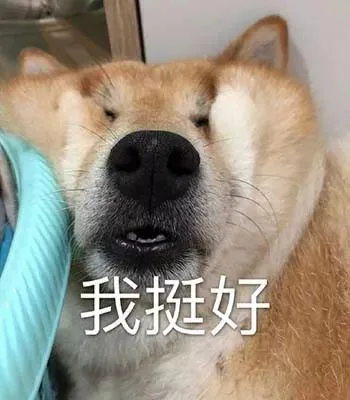 汪星人（汪星人）