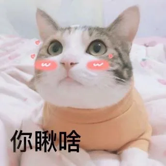 喵星人（喵星人）