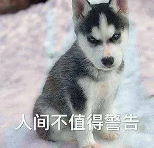 汪星人（汪星人）