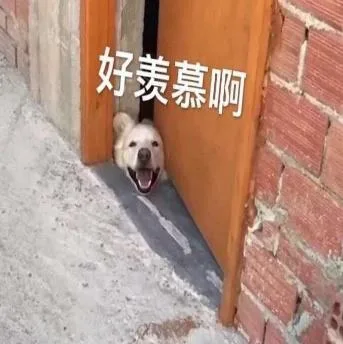汪星人（汪星人）