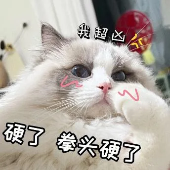 斗图（斗图）
