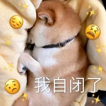 汪星人（汪星人）