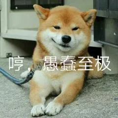 汪星人（汪星人）