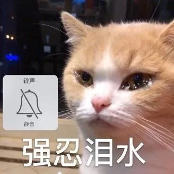 喵星人（喵星人）