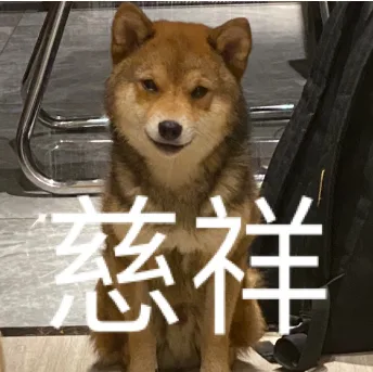 汪星人（汪星人）