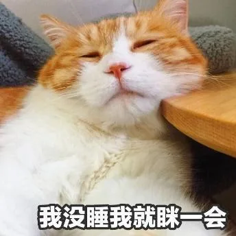 喵星人（喵星人）