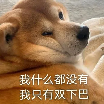 汪星人（汪星人）