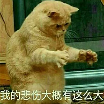汪星人（汪星人）