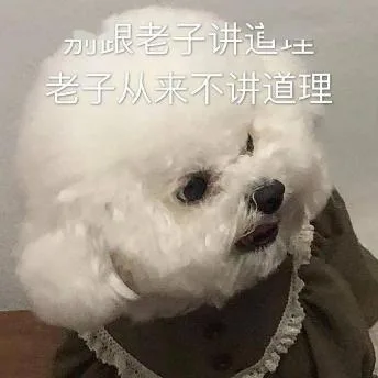 汪星人（汪星人）