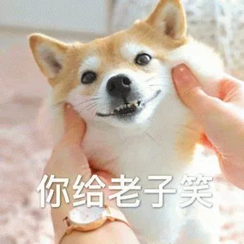 汪星人（汪星人）
