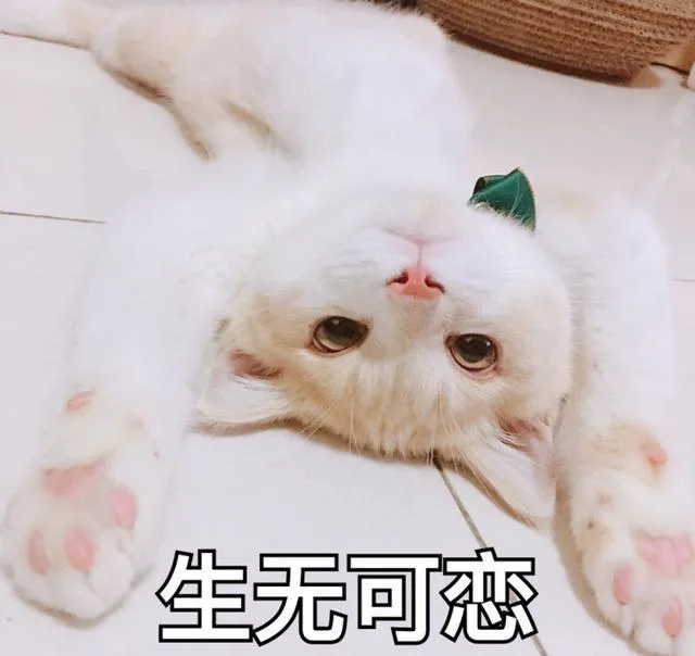 喵星人（喵星人）