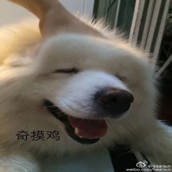 汪星人（汪星人）